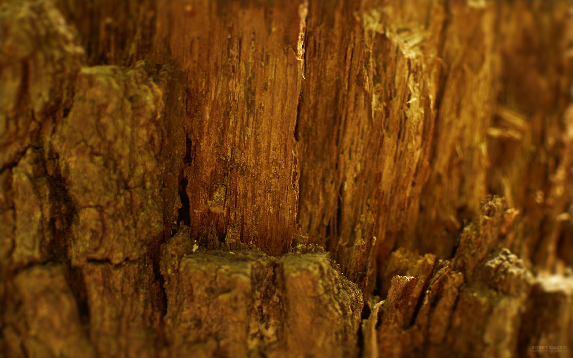 Wood Fiber 1920x1200 Download High Quality Hd Wallpapers For Free Wide